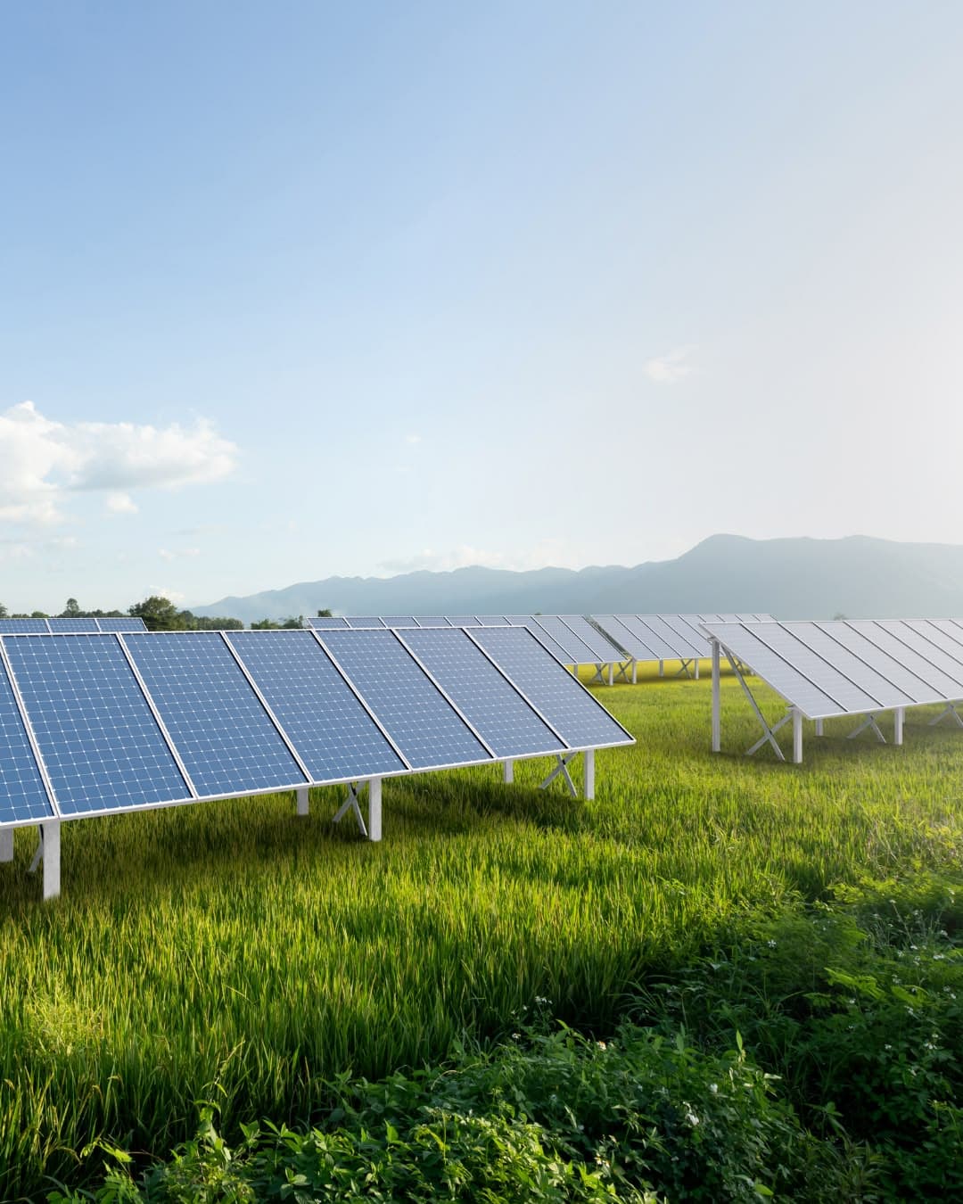 Agricultural Solar Solutions